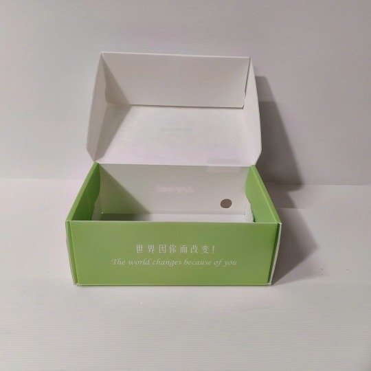 White-Blue Plastic Shoe Box
